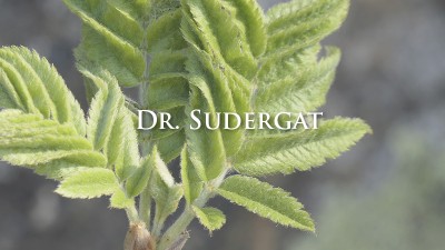 Dr. Sudergat